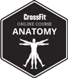 CrossFit Anatomy